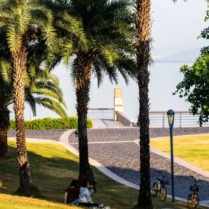 Top 5 Free Attractions in Shenzhen for a Day Trip